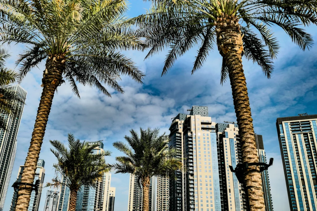 Why Dubai Is a Real Estate Investor's Paradise in 2025
